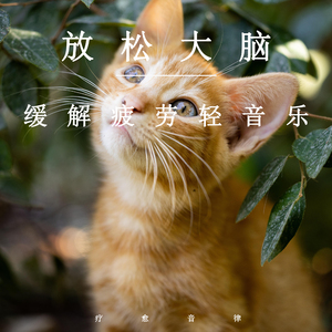 偷拍走光露出在线播放
