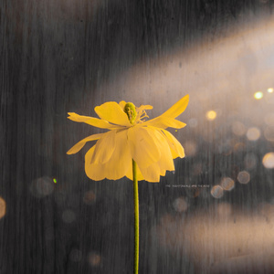 偷拍走光露出在线播放
